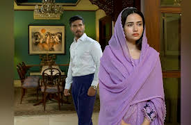 Aye Musht-E-Khaak: Episode 15