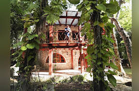 Life's a Beach, Season 1: Trees Company