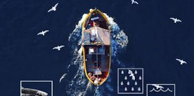 12:30: Así somos: El mar en disputa | Caza y Pesca | 12/29 2025