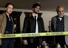 The Turkish Detective