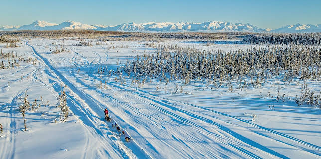 13:45: Drømmen om Alaska: Iskald velkomst | NRK 1 | 1/11 2026