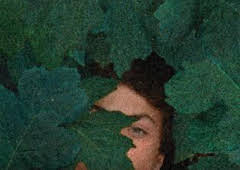 La metamorfosis de los pájaros