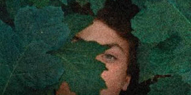 01:41: La metamorfosis de los pájaros | TCM | 1/19 2026