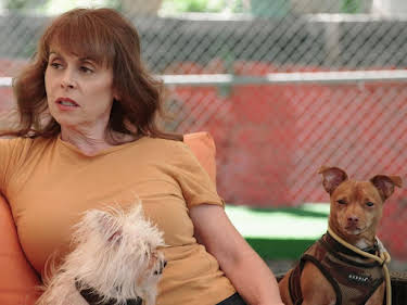 16:35: Cesar Millan: Better Human Better Dog - Bessere Menschen, bessere Hunde | Sixx | 4/26 2026