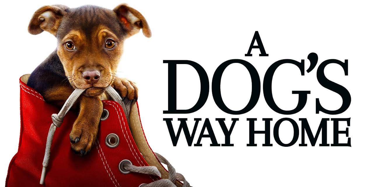 A Dog's Way Home (2019)