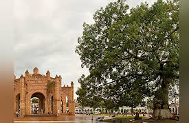 Maya to Aztec: Ancient Mesoamerica Revealed: Early Highland Maya - Izapa to Kaminaljuyu