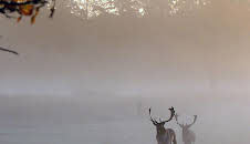 Småland - Schwedens wilder Süden