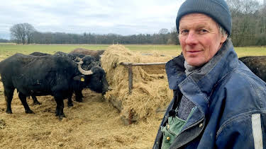 02:15: Die Nordreportage: Die Rinder-Rancher | Radio Bremen | 5/10 2026