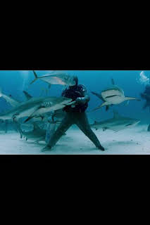 07:00: Cuando los tiburones atacan: Mordido en Balí | Nat Geo Wild | 3/19 2026