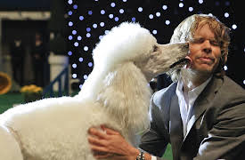 Navy CIS: L.A.: Episode 5