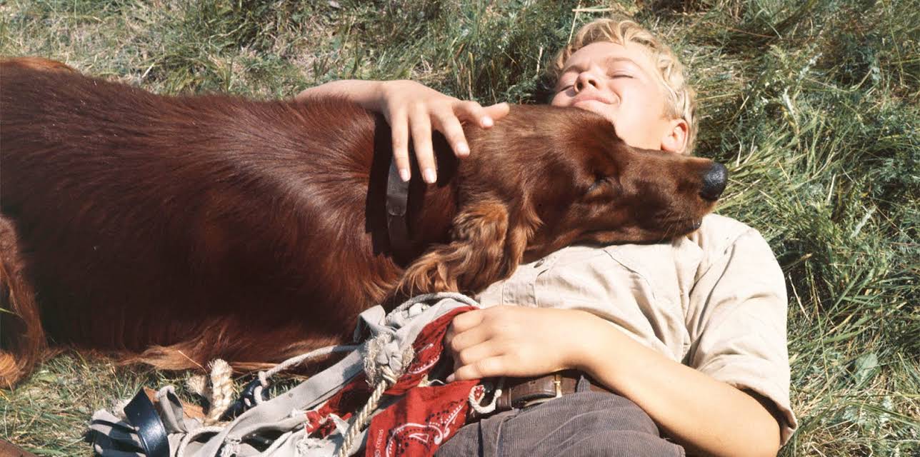 Big Red (1962)