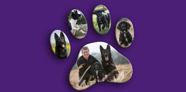 8:00 PM: Dog Detectives (S1 E1) (S1) | Animal Planet | 11/5 2025