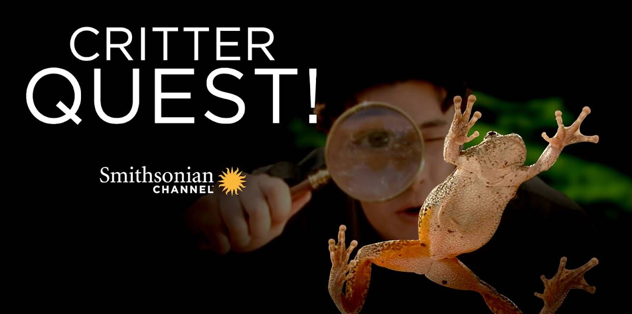 Critter Quest Season 1