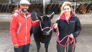12:25 PM: Down on the Farm (S3) | Cbeebies | 7/4 2026