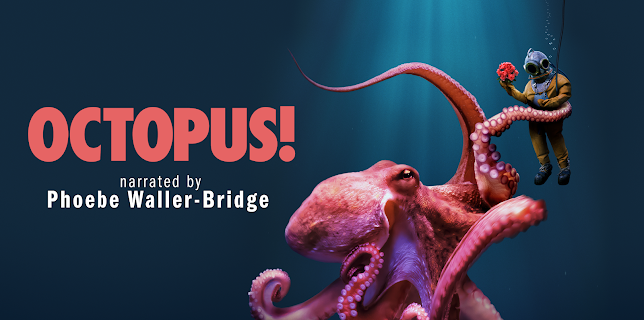 Octopus!