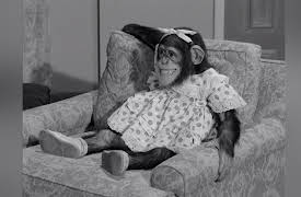 The Joey Bishop Show: Joey Meets Jack Paar