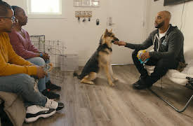 Terapia canina: Diésel