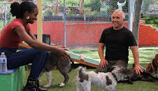 Cesar Millan: Better Human Better Dog - Bessere Menschen, bessere Hunde