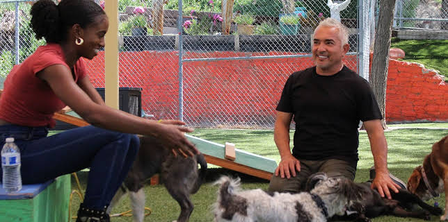 05:45: Cesar Millan: Better Human Better Dog - Bessere Menschen, bessere Hunde | Sixx | 2/15 2026