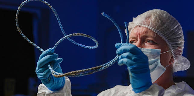 10:00 PM: Killer at the Crime Scene (S4 E5) (S4) | 5 Star | 11/18 2025