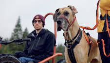 Fra bølle til bestevenn: Voldsomme krefter