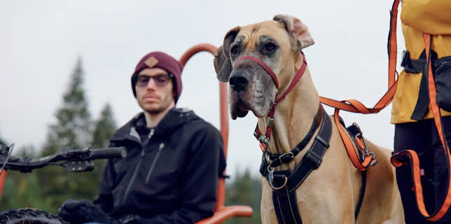 12:40: Fra bølle til bestevenn: Voldsomme krefter | NRK 1 | 11/2 2025