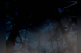 Full Metal Panic! Season 1 (English Dubbed): The Guy I Kinda Like is a Sergeant