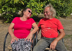 A New Life in the Sun