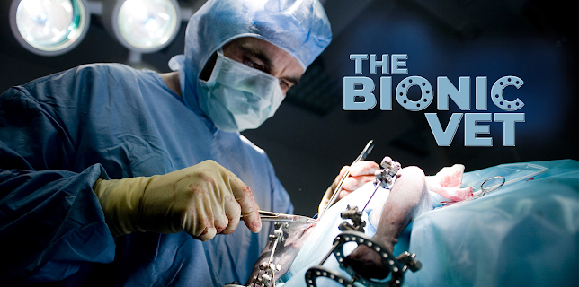 The Bionic Vet