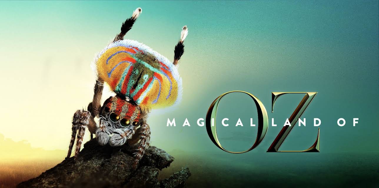 Magical Land of Oz: Season 1