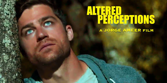 Altered Perceptions (2024)