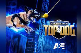 America's Top Dog Season 1: Country Boys and Rescue Dogs