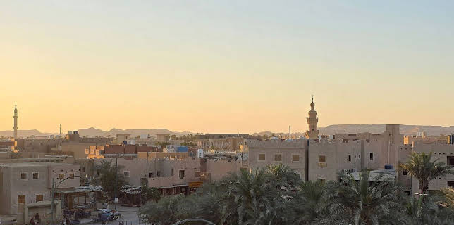 17:50: Oasen - Inseln des Lebens | Arte | 2/9 2026