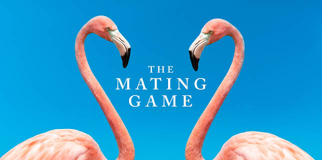 The Mating Game, Season 1