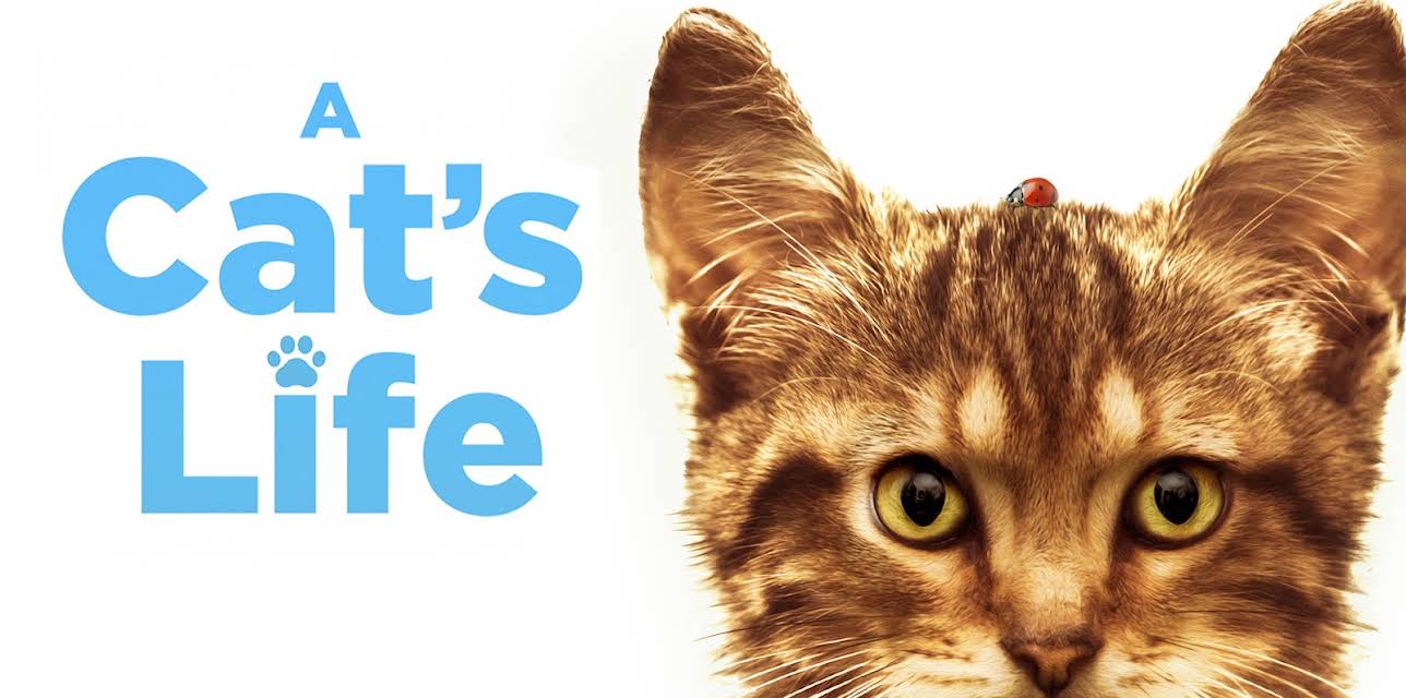 A Cat's Life (2024)