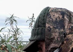 Locos por el 20. Especial Argentina: Patos de arrozal