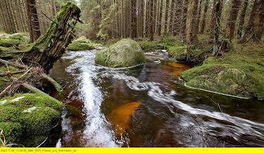15:30: Der Harz - Felsenreich und Wasserwelten | 3SAT | 6/1 2026