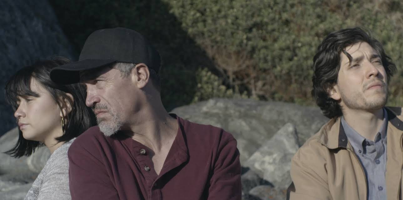 In the Sky You Let Me Fall (2025)