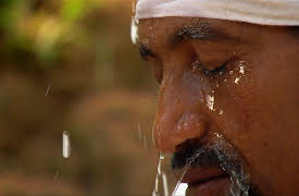 Wildest Africa: Nile An African Odyssey