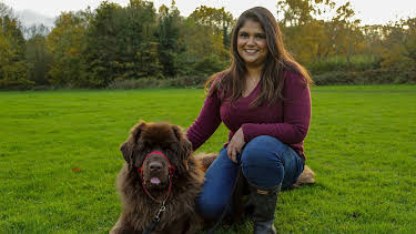 19:15: Der Super-Doc - Einsatz für 4 Pfoten | Sixx | 4/12 2026