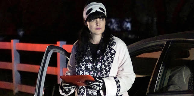 11:00 AM: NCIS (S13 E17) (S13) | 5 USA | 11/5 2025