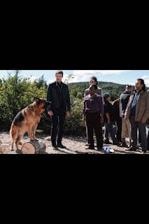 17:06: Hudson y Rex (T3): Ep.6 Un verano infinito | AXN | 6/16 2026