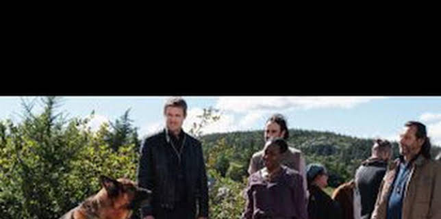 21:03: Hudson y Rex (T3): Ep.6 Un verano infinito | AXN | 3/13 2026