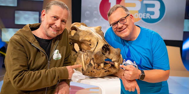 08:35: 1, 2 oder 3 | ZDF | 11/16 2025