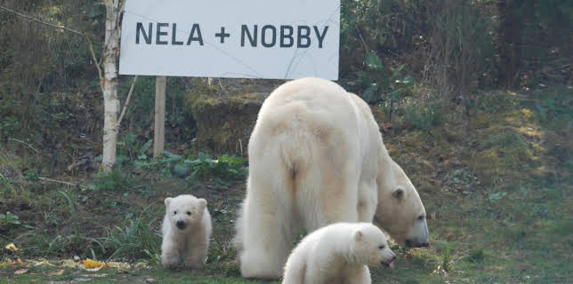 Neues aus dem Münchner Tierpark Hellabrunn