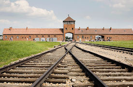 Mengele: Unveiled: 34 Years in a Rat's Life