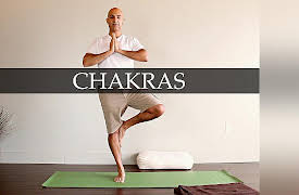 30 Days of Yoga: The Beginner Series with Ritesh Sheth: Chakras: Awakening Your Energy | Days 9, 19, and 29