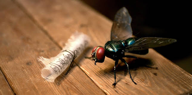 18:45: Trolltider | NRK Super | 12/10 2025