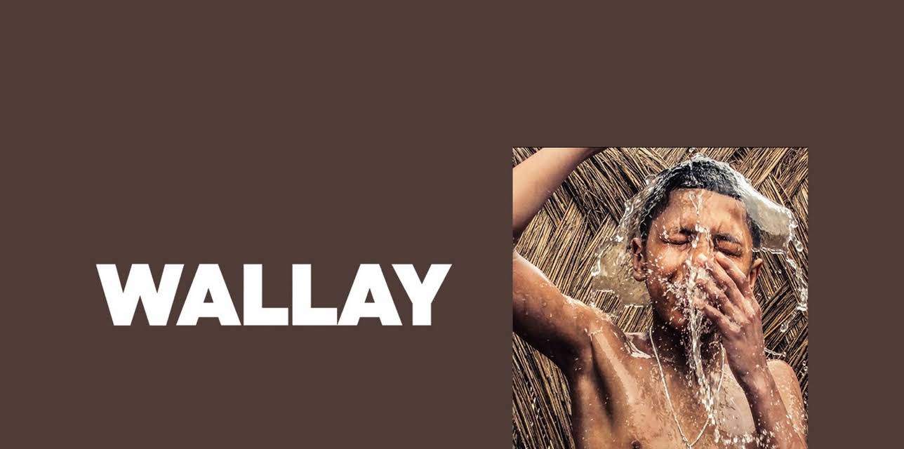 Wallay (2017)