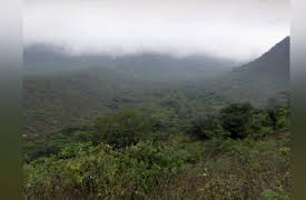 The Animals' Guide to Survival: Mountains